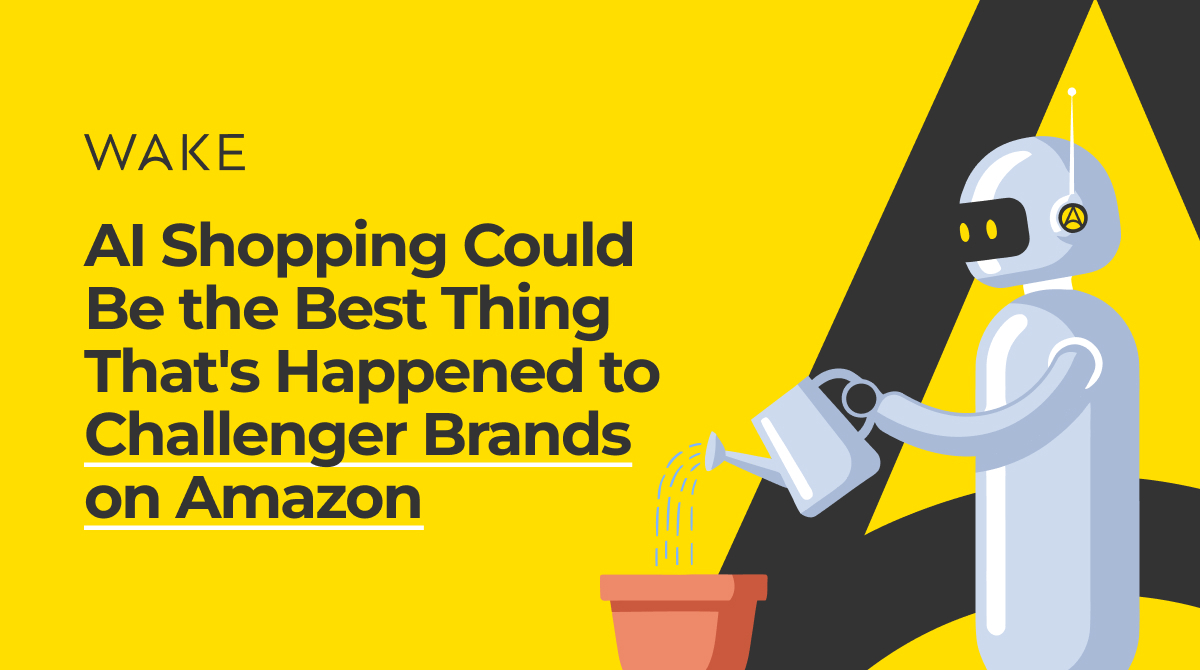 AI Shopping Challenger Ecommerce Brands